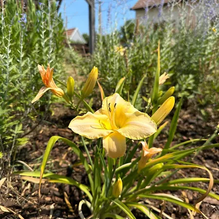 Degustarium 3* Bavory